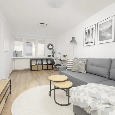 Elegant Grey Wspolna Srodmiescie In By Renters Apartment *