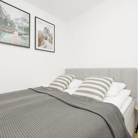 Elegant Grey Wspólna śródmieście In By Renters Apartamento